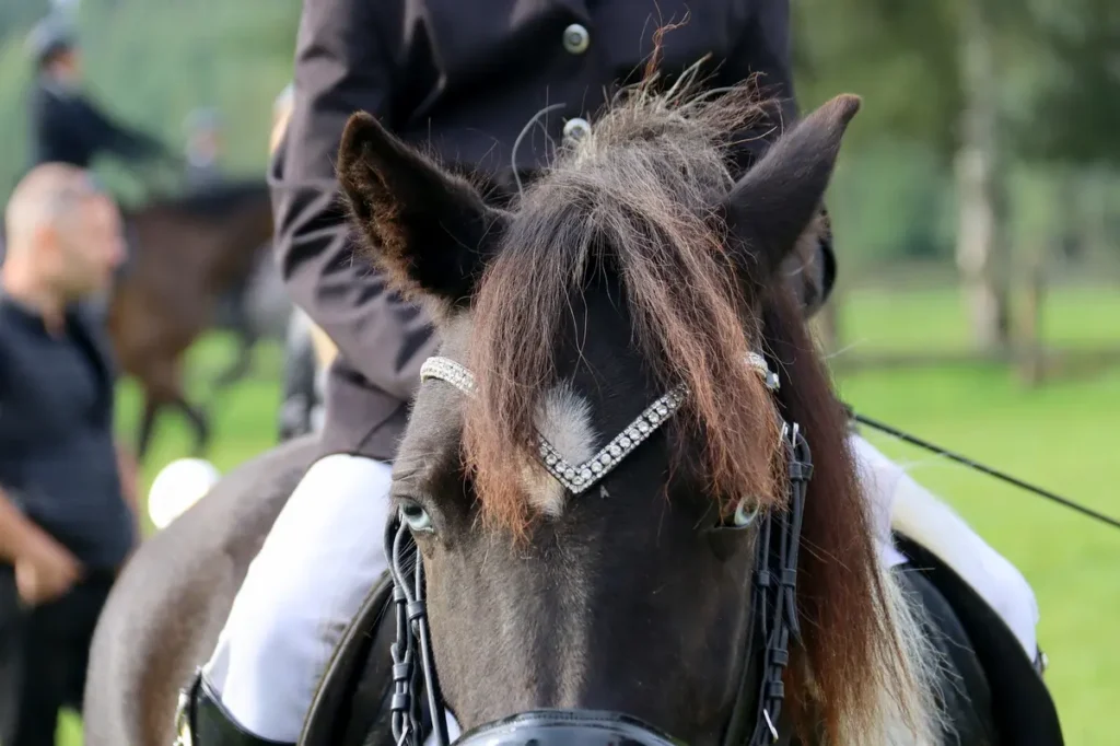 Pāces kauss - "Kalēji" 2023 1 IMG 5652 1