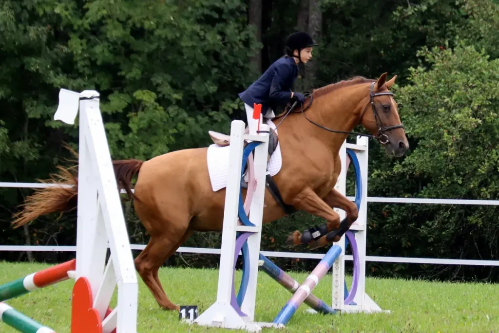 Pāces kauss - "Kalēji" 2023 12 IMG 5982 1