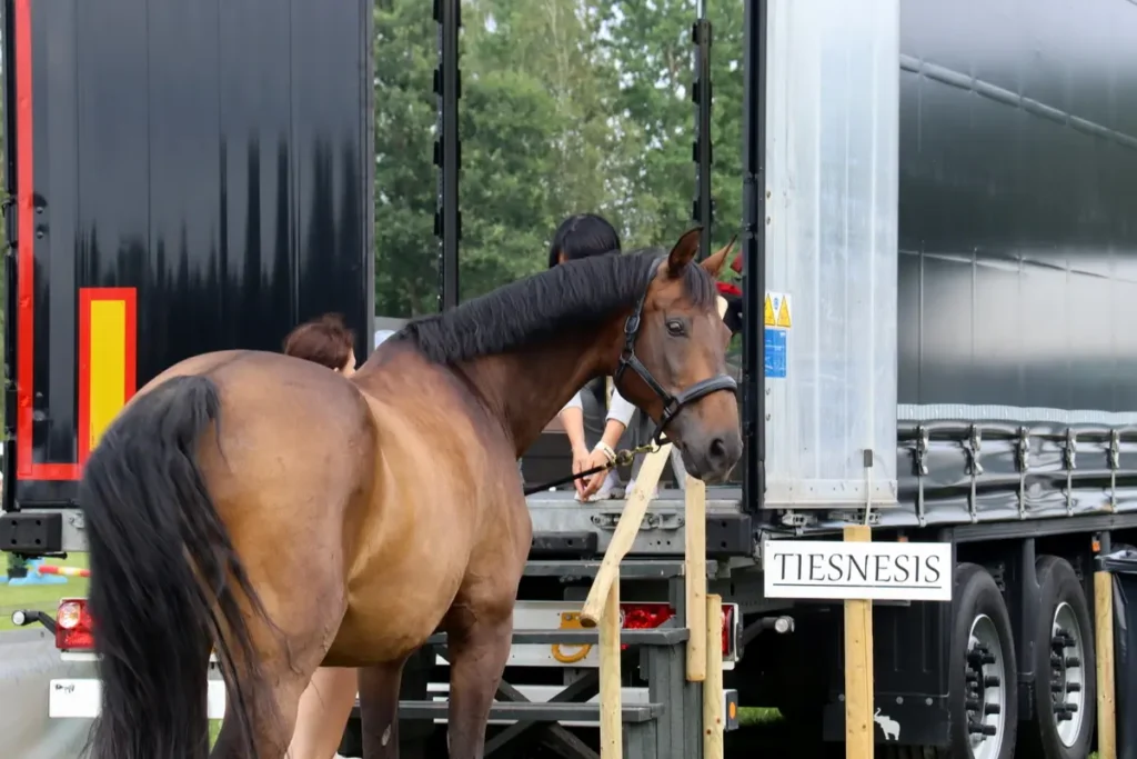 Pāces kauss - "Kalēji" 2023 21 IMG 6647 1